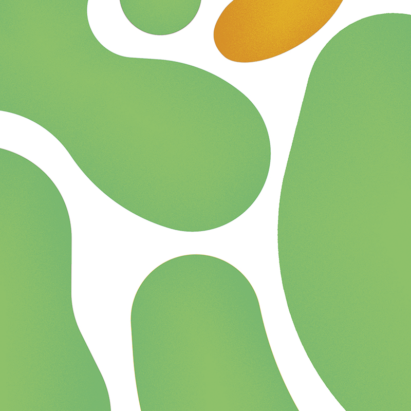 portadillaverde